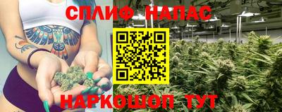 мяу мяу мука Новозыбков