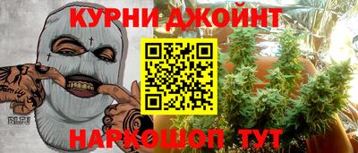 мяу мяу мука Новозыбков