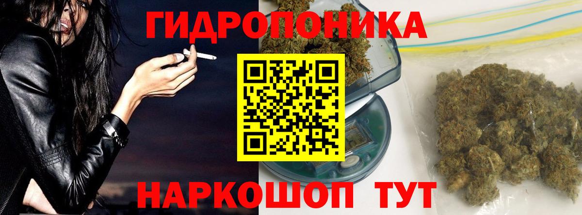 Канабис марихуана  Вход с VPN  Канабис VHQ  Новотроицк 